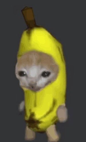 Banana Cat GIF
