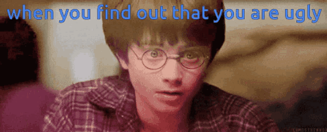 a picture of harry potter with the words " when you find out that you are ugly " above him
