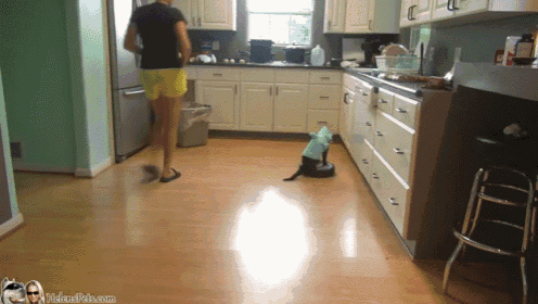 Normal Morning, Nbd GIF