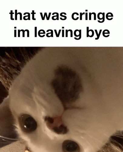 That Was Cringe Im Leaving Bye Cat Cringe Cat GIF - That Was Cringe Im Leaving Bye Cat Cringe Cat Cat Looking Away GIFs