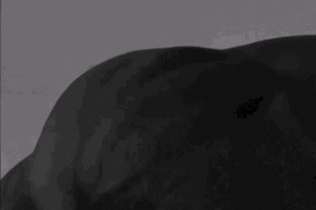a close up of a man 's face with his eyes closed