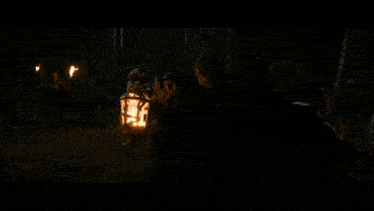 a close up of a bug in the dark with a blurred background