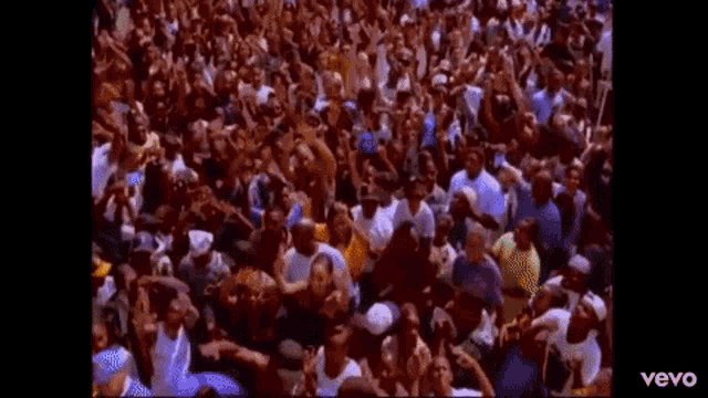 a large group of people are dancing in a crowd .