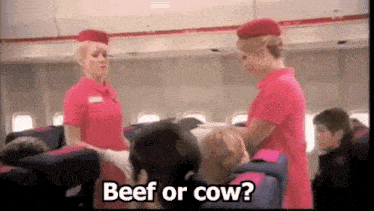 two stewardesses are talking to a person on a plane and they are asking if they can have beef or cow .