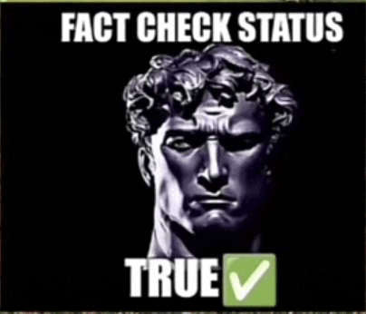 a statue of a man with the words " fact check status true "