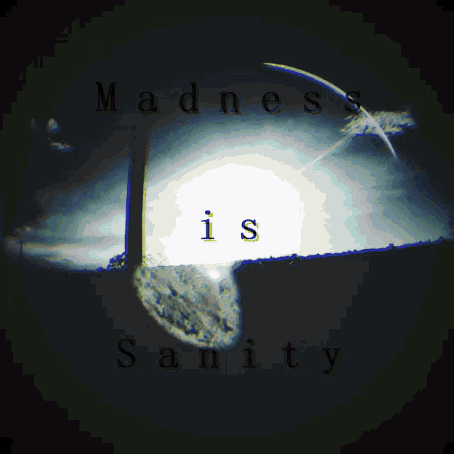 Madness Is Sanity Madness GIF - Madness Is Sanity Madness Sunset GIFs
