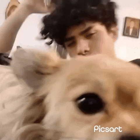 a close up of a dog 's face with a man 's head in the background .