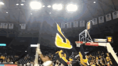 Flags Shockers GIF