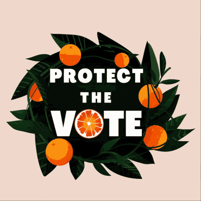 Protect The Vote Florida GIF