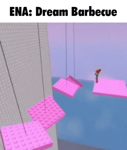 a picture of a roblox character with the caption ena : dream barbecue .