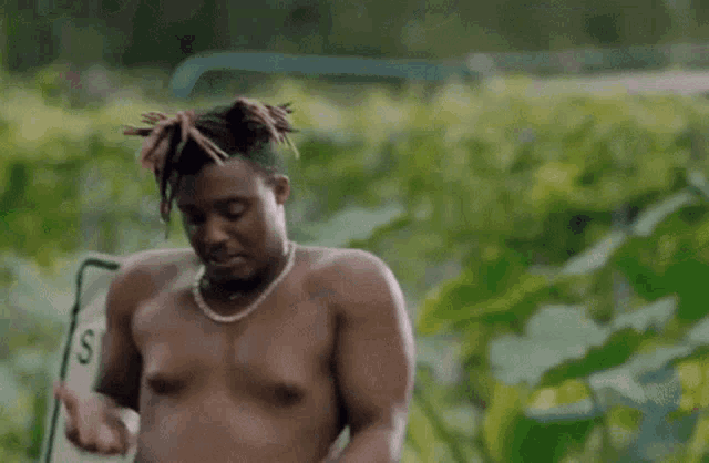 a shirtless man with dreadlocks and a necklace is standing in front of a green field .