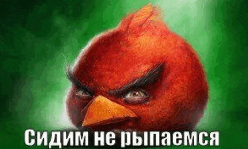 a red angry bird with a yellow beak is sitting on top of a green background .