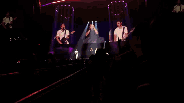 Jonas Brothers The Lovebug GIF - Jonas Brothers The Lovebug Concert GIFs