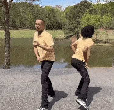 a man and a woman are dancing in a park near a lake .