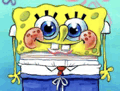 Spongebob Spongebob Meme GIF - Spongebob Spongebob Meme GIFs