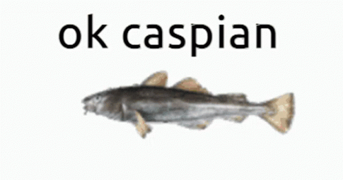 Ok Caspian GIF - Ok Caspian Ok Caspian GIFs