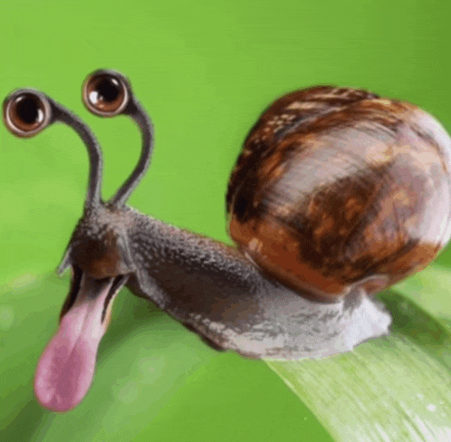 a snail with a long tongue sticking out of its mouth