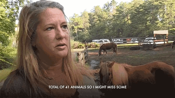 Interview Talking GIF - Interview Talking Total Of41animals GIFs
