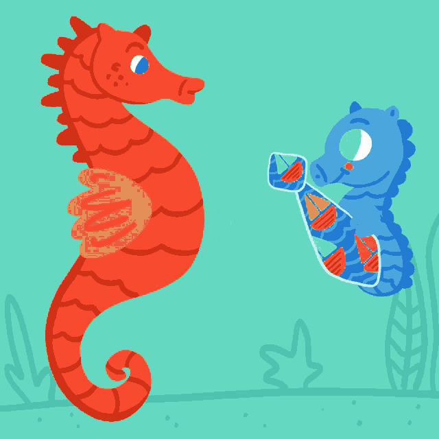 a red seahorse and a blue seahorse are wearing ties