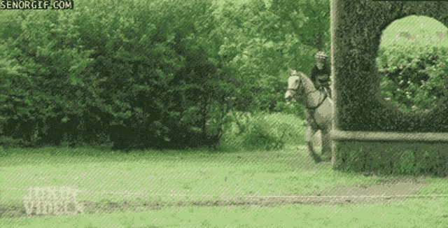 Tree Attack GIF - Tree Attack Horseback Riding GIFs