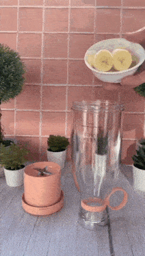 a person is adding bananas to a blender that says fresh juice