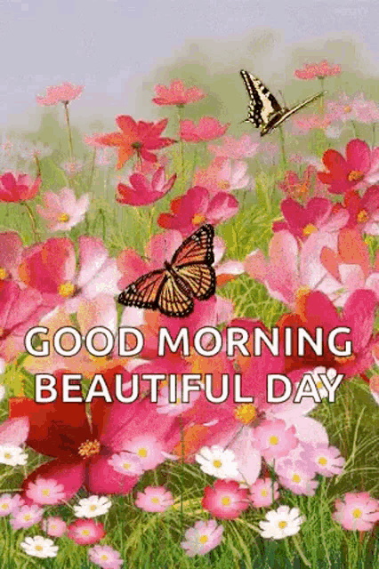 a butterfly is flying over a field of flowers with the words `` good morning beautiful day '' .