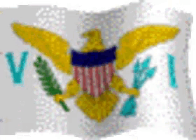 a flag with an eagle and the letters v and pi on it