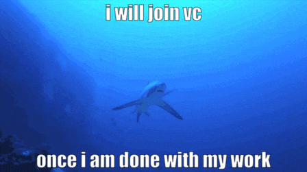 a picture of a shark in the ocean with a caption that says i will join vc once i am done with my work