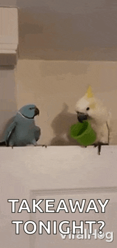 two birds are standing next to each other on a wall and one of them is holding a green cup .