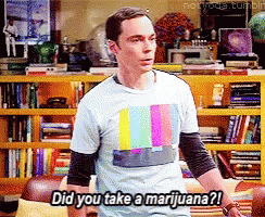 Sheldon Did You Take A Marijuana GIF - Sheldon Did You Take A Marijuana Tbbt GIFs