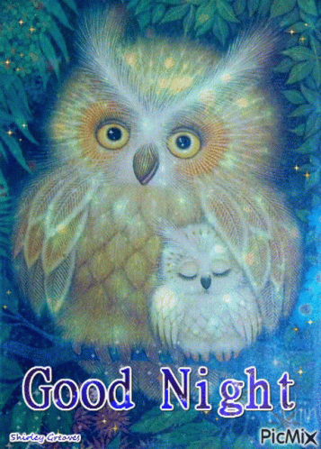 Good Night Owls GIF - Good Night Owls Owlet GIFs