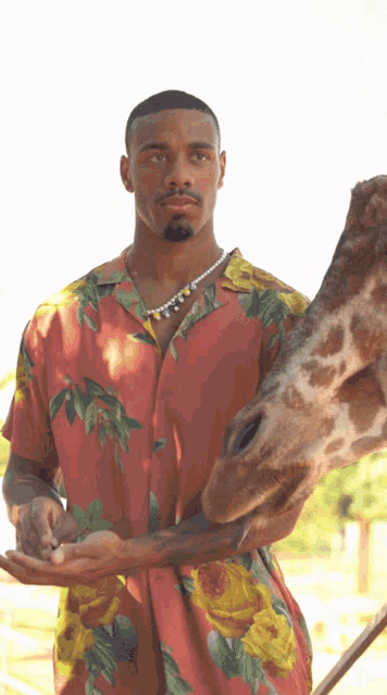 Kumala Kumala Giraffe GIF