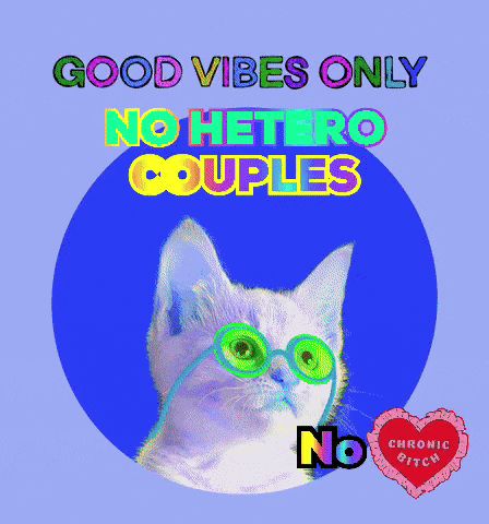 a cat wearing sunglasses with the words good vibes only no hetero couples above it