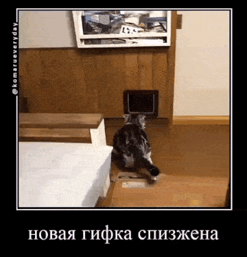 a picture of a cat walking through a cat door with a caption in russian