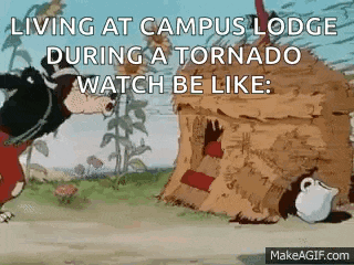 a cartoon of three little pigs living at campus lodge during a tornado watch