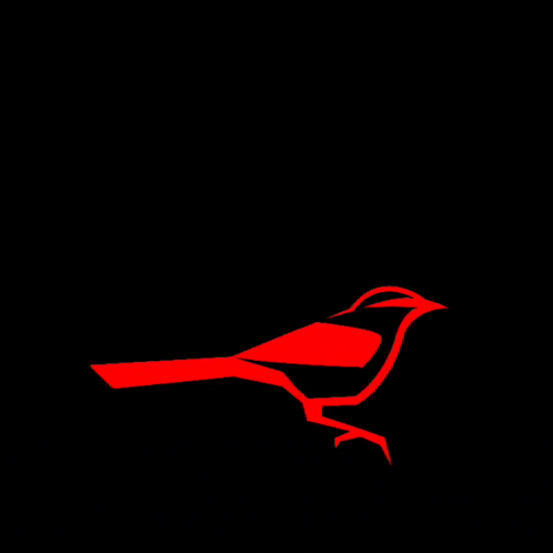 a red bird is on a black background with a black background