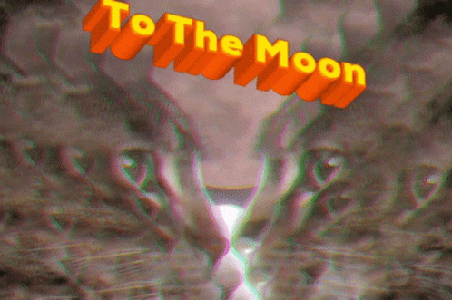 To The Moon Mzpeabody GIF - To The Moon Mzpeabody Pussycat GIFs
