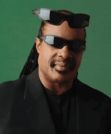 Stevie Wonder Deal With It GIF - Stevie Wonder Deal With It Shades GIFs