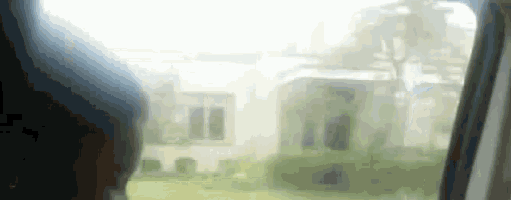 a person looking out of a car window with a house in the background