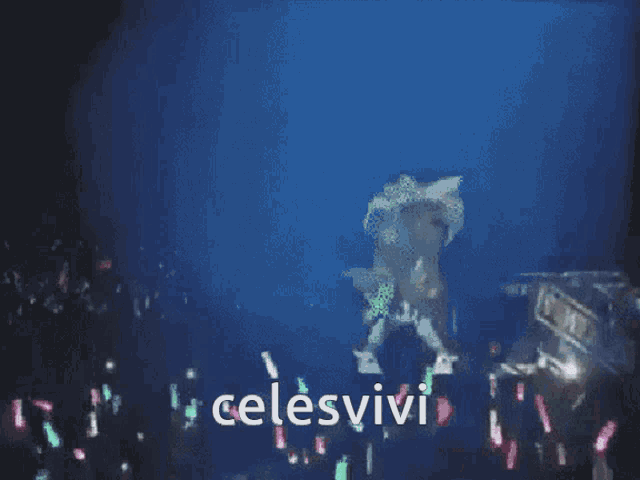 celesvivi is displayed in a blurry image of a concert