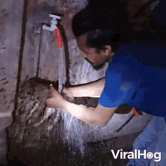 Bath Time Viralhog GIF - Bath Time Viralhog Cleaning A Pet GIFs