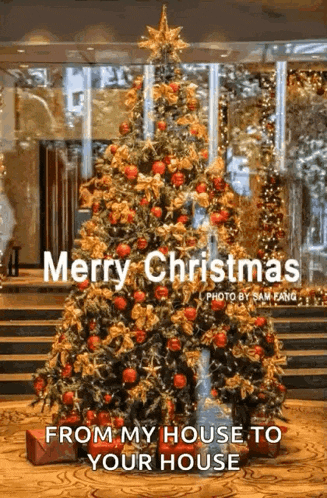 a christmas tree with the words merry christmas from my house to your house below it