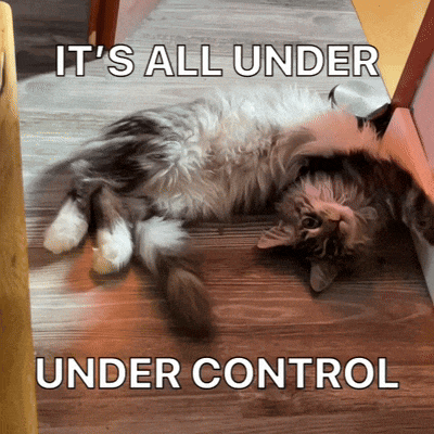 a cat laying on its back with the words it 's all under under control above it