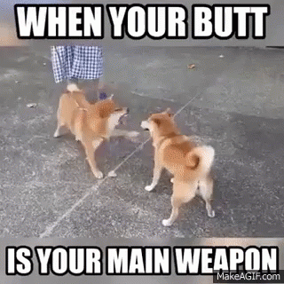 Butt Weapon GIF - Butt Weapon GIFs