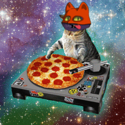 Cat Mars Cats Voyage GIF - Cat Mars Cats Voyage Pizza GIFs