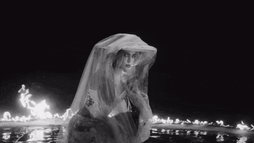 a black and white photo of a woman in a veil