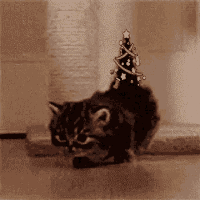 Kitten Cute GIF - Kitten Cute Christmas Tree Tail GIFs