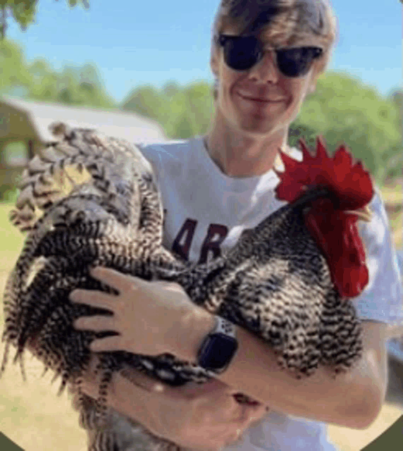 a man wearing sunglasses is holding a large rooster in his arms .
