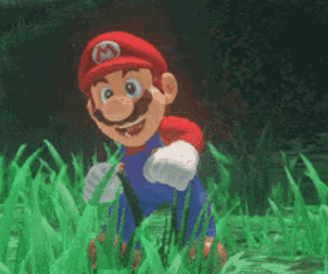 a cartoon character named mario is standing in the grass .