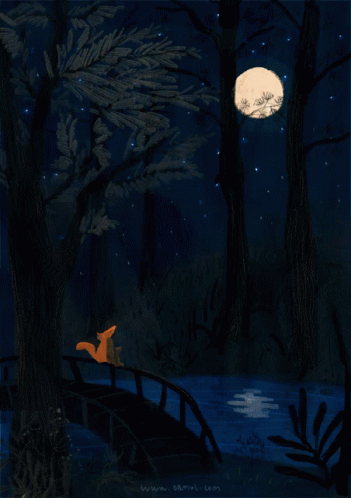Fox Moon GIF - Fox Moon Night GIFs